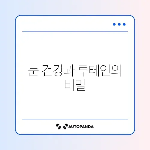 루테인 효과와 부작용 완벽 정리 가이드