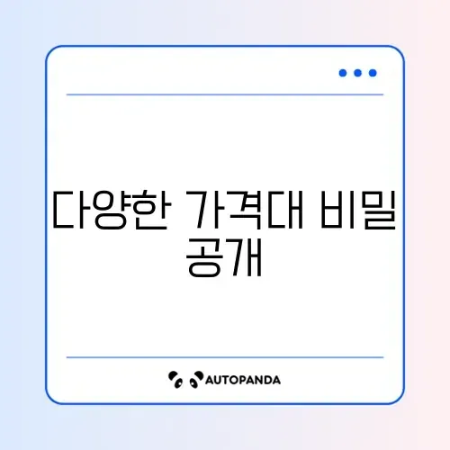 멀티비타민 비용 얼마나 들까? 완벽 정리 가이드