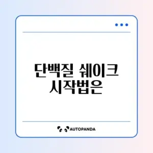 단백질 쉐이크 초보자를 위한 완벽 가이드 알아보기