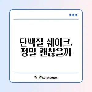 단백질 쉐이크 장단점 완벽 정리 가이드