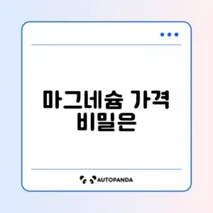 마그네슘 비용 얼마나 들까? 완벽 정리 가이드