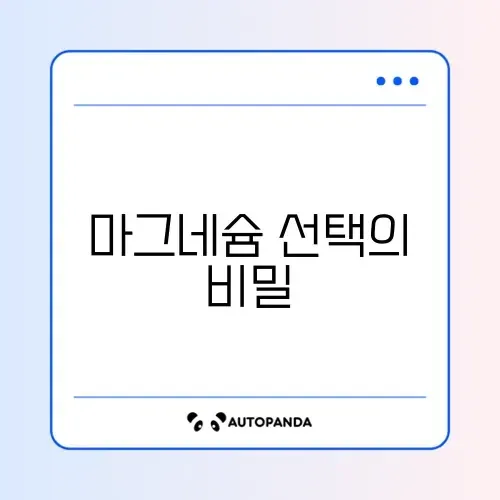 마그네슘 추천 기준 완벽 정리 가이드