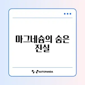 마그네슘 장단점 완벽 정리 가이드 알아보기