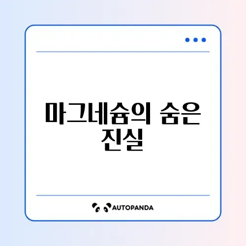 마그네슘 장단점 완벽 정리 가이드 알아보기