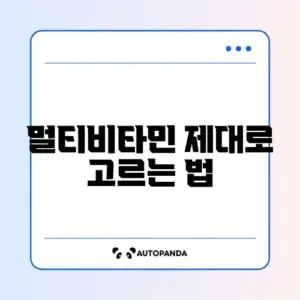 멀티비타민 초보자를 위한 완벽 가이드 알아보기
