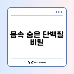 콜라겐, 어떻게 시작할지 완벽 가이드 알아보기