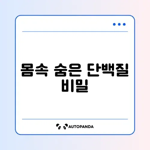 콜라겐, 어떻게 시작할지 완벽 가이드 알아보기