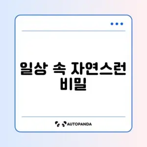 마그네슘 꾸준히 섭취하는 효과적인 방법 알아보기