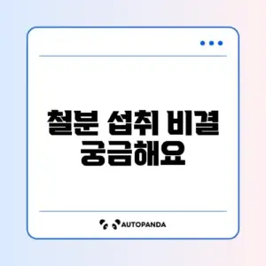 철분 꾸준히 섭취하는 효과적인 방법 알아보기