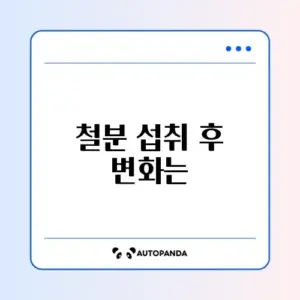 철분 실제 후기 완벽 정리 가이드