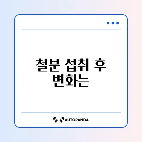 철분 실제 후기 완벽 정리 가이드