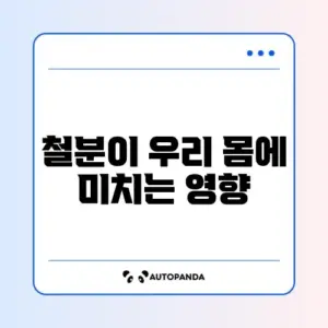 철분의 장단점 완벽 정리와 건강 관리 가이드 알아보기