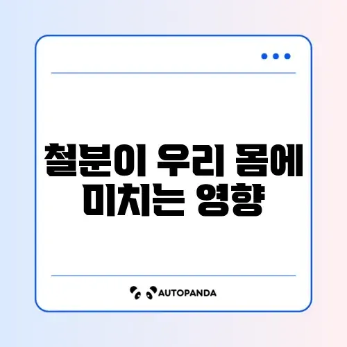 철분의 장단점 완벽 정리와 건강 관리 가이드 알아보기