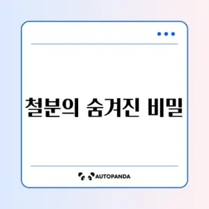 철분 초보자를 위한 완벽 가이드 알아보기