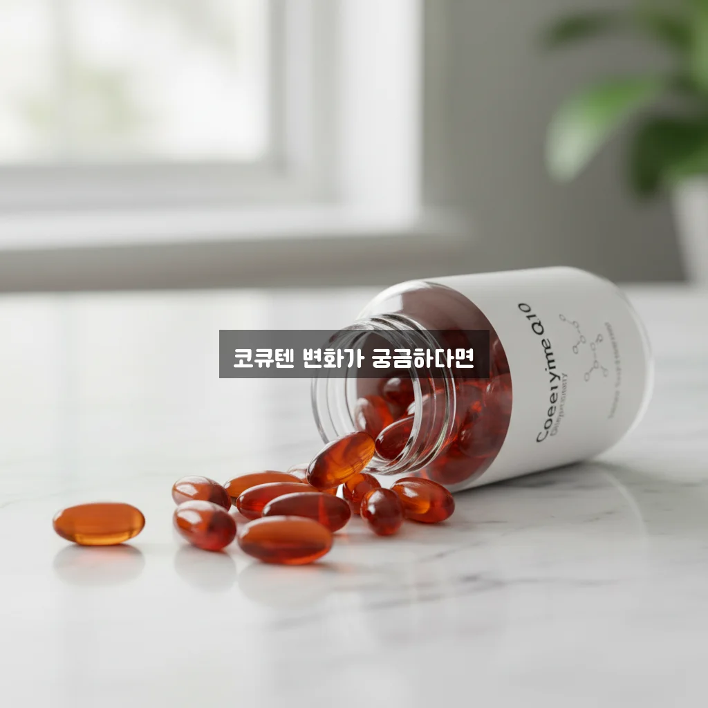 코엔자임Q10 실제 후기 완벽 정리 알아보기 관련 이미지 2