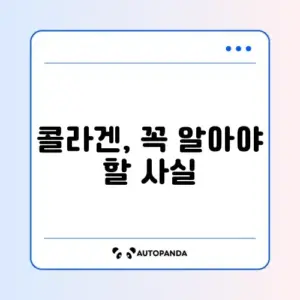콜라겐의 장단점 완벽 정리 가이드 알아보기