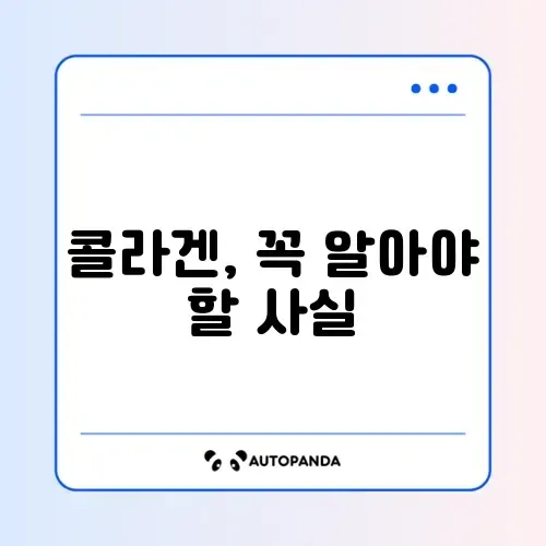 콜라겐의 장단점 완벽 정리 가이드 알아보기