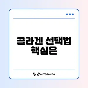 콜라겐 추천 기준 완벽 정리 알아보기
