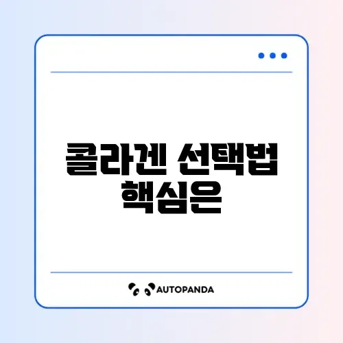 콜라겐 추천 기준 완벽 정리 알아보기