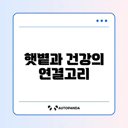 비타민D, 정말 효과 있을까? 완벽 가이드 알아보기