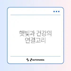 비타민D 초보자를 위한 완벽 가이드 알아보기