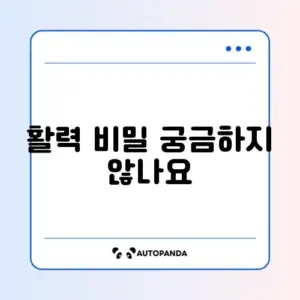 코엔자임Q10 초보자 가이드: 효과와 복용 방법 완벽 정리