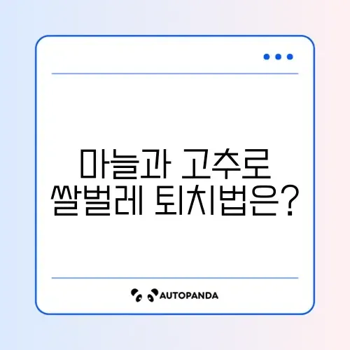 여름철 쌀벌레 예방을 위한 마늘과 고추 활용 천연 퇴치제 제작법 썸네일
