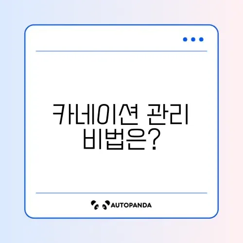 어버이날 선물 받은 카네이션 화분 오래 키우는 분갈이와 흙 배합 썸네일