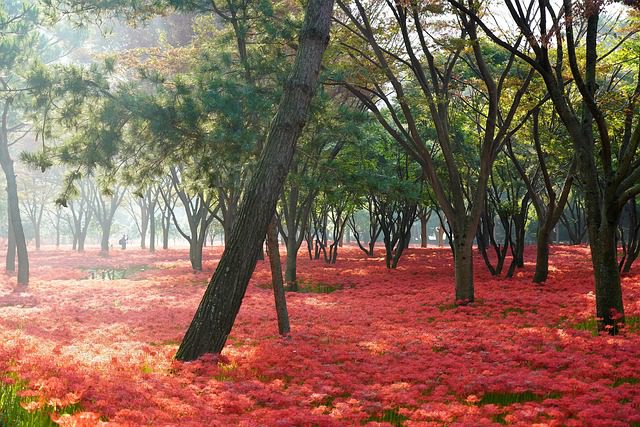 원드라이브 동기화 보류 중 문제 완벽 해결 방법 알아보기 관련 이미지 1