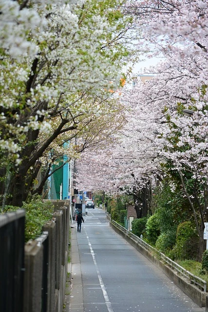 데이터 켜져도 인터넷 안 될 때 해법은